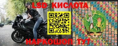 СК Бузулук