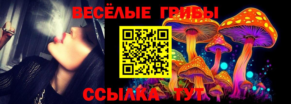 Строитель  Галлюциногенные грибы мицелий  Вход с VPN 