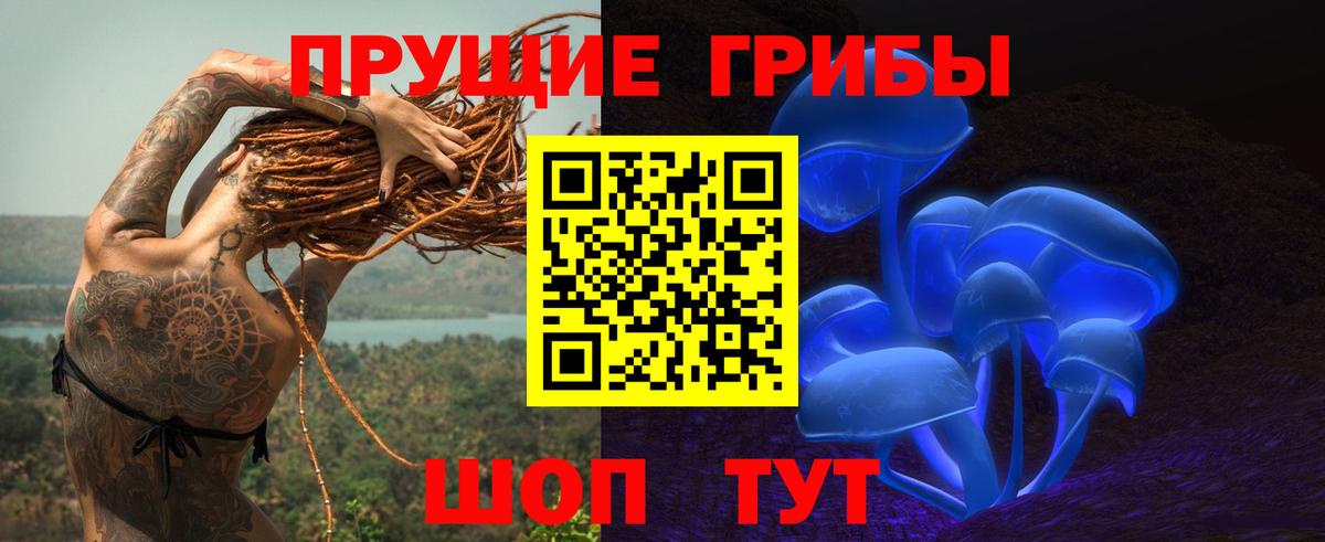 Псилоцибиновые грибы GOLDEN TEACHER Строитель